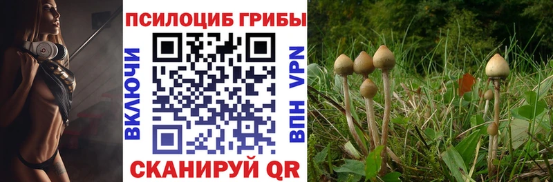Галлюциногенные грибы Cubensis  Купить где  Воркута 